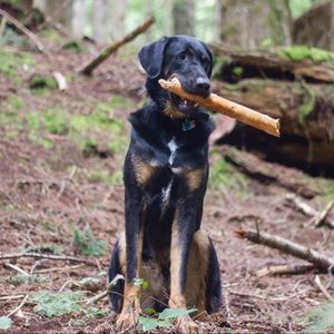 Meet Your Posher, Loara!